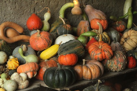 Ya está la Romería de Calabaza y Camote en la CEDA: visita la zona de Piedra para encontrar los mejores precios