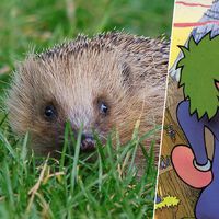 Llevamos 50 años pensando que los lemmings son roedores que se suicidan en masa. La culpa de todo la tiene Disney