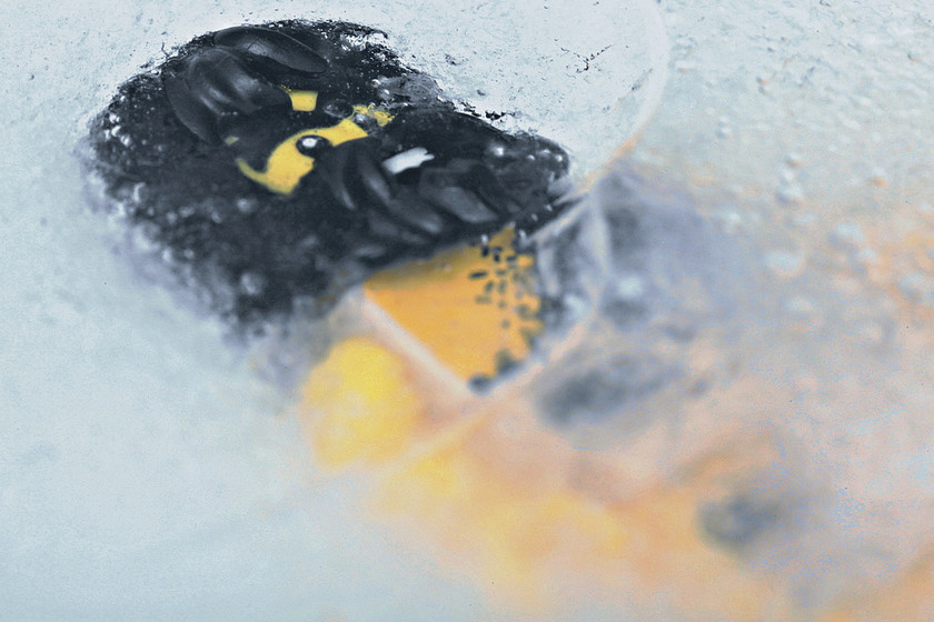 La criogenización sigue siendo ciencia ficción y no hay ninguna garantía de  que deje de serlo