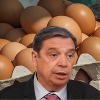En EEUU no tienen huevos suficientes. ¿Podría pasar en España?