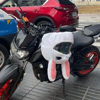 Llevar unas orejas de conejo o un Pikachu en el casco de la moto es la nueva moda de TikTok, pero es ilegal y hay multas 