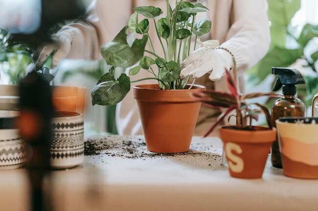 Pexels Sasha Kim 9413730