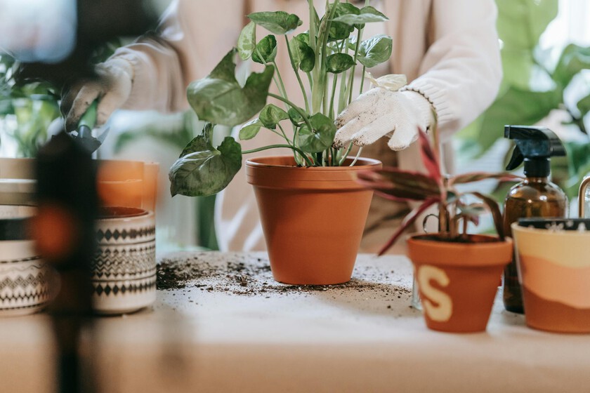 Pexels Sasha Kim 9413730
