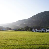 En el País Vasco cada vez más urbanitas se mudan de las ciudades al campo. Problema: cuando llegan se encuentran campo