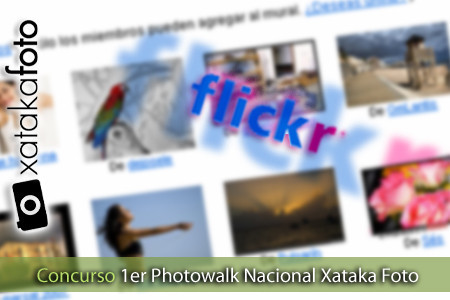 Concurso del 1er. Photowalk Nacional Xataka Foto: ¡Los ganadores!