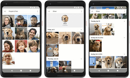 Google Fotos ya reconoce a tus mascotas para mostrarte todas sus fotos