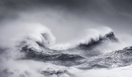 Sony World Photo Awards 2021