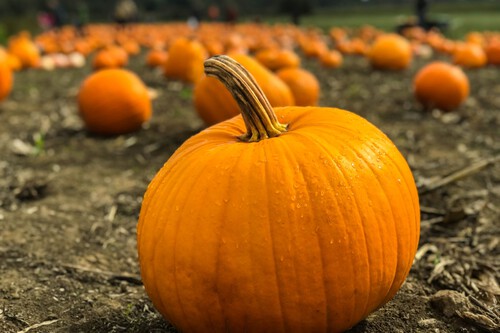 Microsoft Centro Datos