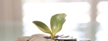 ¿Qué es el EBITDA de una empresa y cómo se calcula?