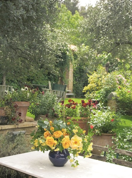 Rincon Jardin Torre Visco 2