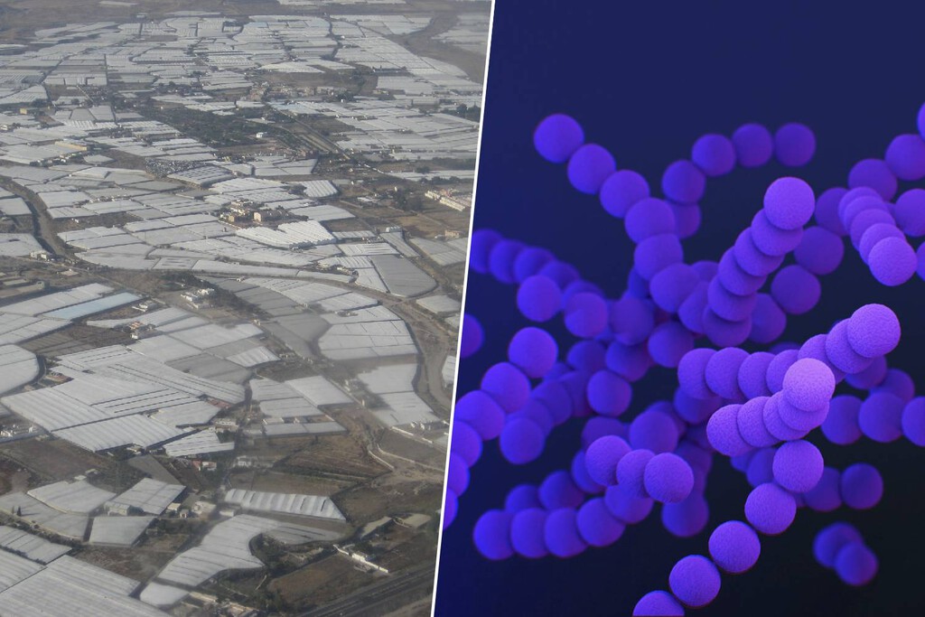 El "mar de plástico" de Almería esconde una amenaza invisible: es una incubadora gigante de bacterias resistentes