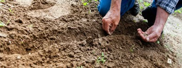 La mejor oferta en herramientas este Prime Day es esta potente motoazada de gasolina para cultivar sin esfuerzo 