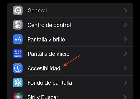 Iphone Ios アクセシビリティ オーディオ 1