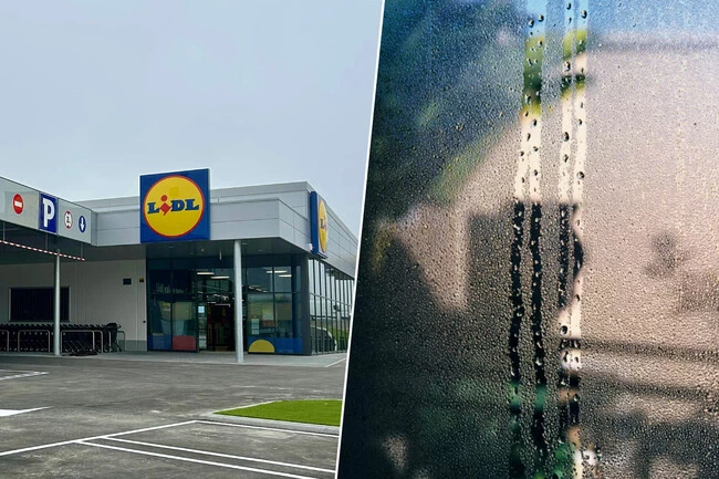 Deshumidificador Tronic En Lidl