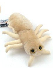 Un piojo en la almohada