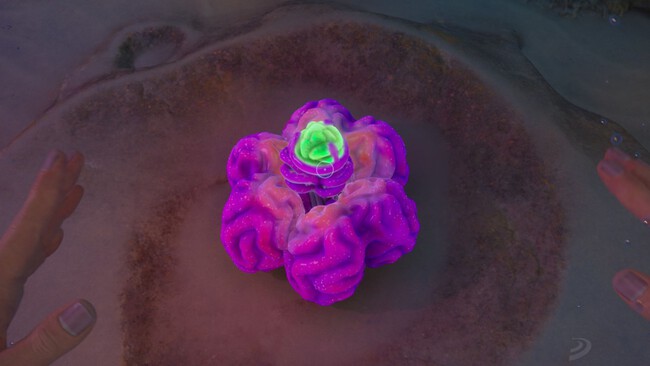 Raion Acidico Subnautica 2