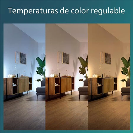 ventilador