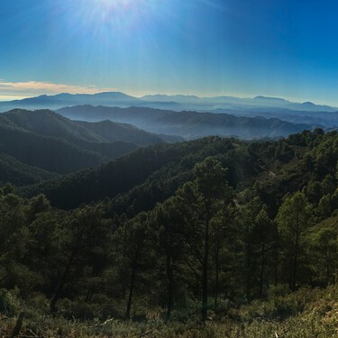 La antigua carretera medieval de Málaga que hoy es una de las rutas más espectaculares para hacer en coche de España 