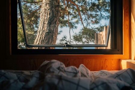 Pexels Ekrulila 31362246