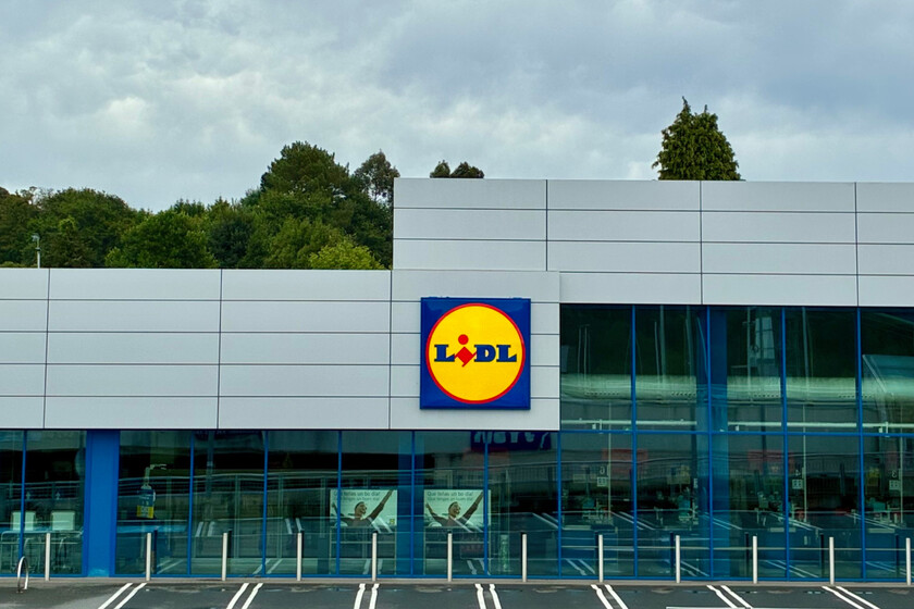 Lidl 31