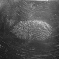 Researchers Have Discovered the World’s Oldest Human Fingerprint. It’s 43,000 Years Old 