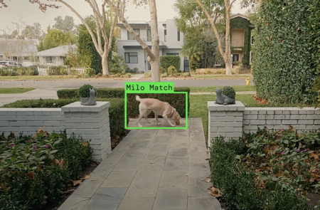 Imagem de um cão na rua