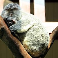 ¿Qué trabajo cansa más el físico o el mental?