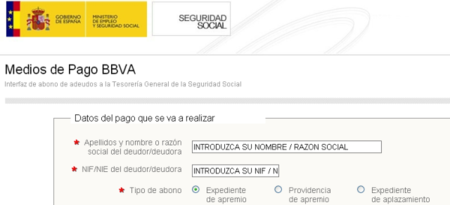 Cómo se realiza el pago con tarjeta de las deudas con la Seguridad Social