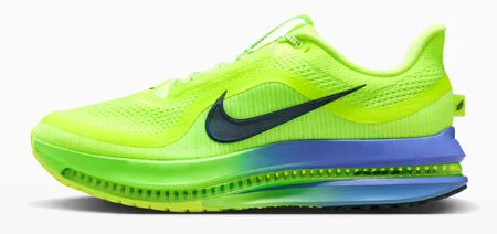 Zapatillas Nike Pegasus Premium