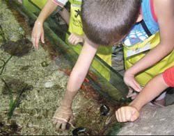 Talleres de verano para niños de Cosmocaixa