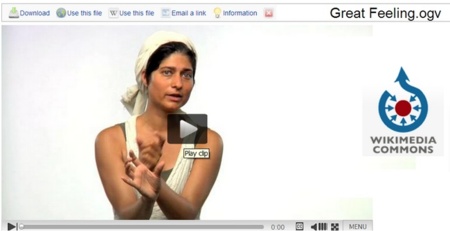 Wikipedia quiere apostar por el vídeo en streaming