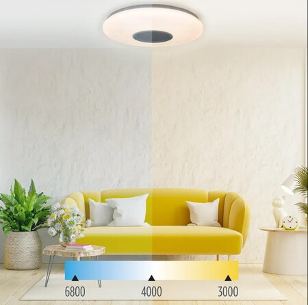 Led Plafon
