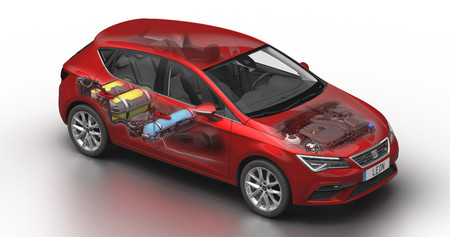 SEAT Leon TGI Radiografia