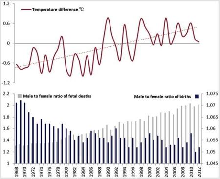 ¿El cambo climático está propiciando que nazcan menos hombres y más mujeres?