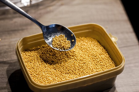 Jumpstory Download20231211 195010