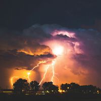 Efeito corona: árvores brilham com eletricidade durante tempestade — confira as imagens 