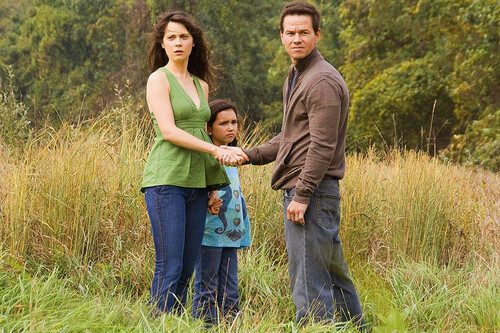 Cuando hueles la hierba recién cortada estás escuchando a las plantas pedir ayuda. Un estudio japonés ha demostrado que Shyamalan tenía razón 