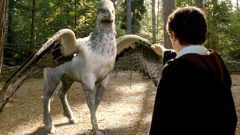 Una mezcla entre Harry Potter y Las Crónicas de Narnia: Disney llevará a cines una de las sagas de fantasía más exitosas del momento 