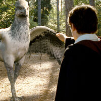 Una mezcla entre Harry Potter y Las Crónicas de Narnia: Disney llevará a cines una de las sagas de fantasía más exitosas del momento 