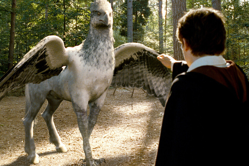 Una mezcla entre Harry Potter y Las Crónicas de Narnia: Disney llevará a cines una de las sagas de fantasía más exitosas del momento