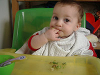 Alimentación complementaria: las legumbres