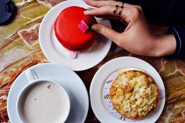 Una lista zampabollos apta solo para los paladares más refinados 