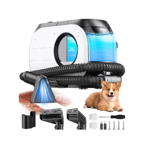 Aspiradora de Agua para alfombras y tapicería de 14,000 Pa 