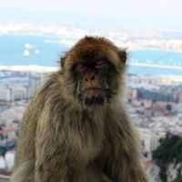 Gibraltar, conflicto económico en el Brexit 