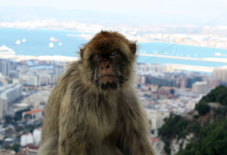 Gibraltar, conflicto económico en el Brexit