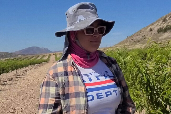 Luisa trabaja de agricultora en Jumilla: "Es mejor vivir aquí. Un piso de 4 habitaciones vale 450 euros"