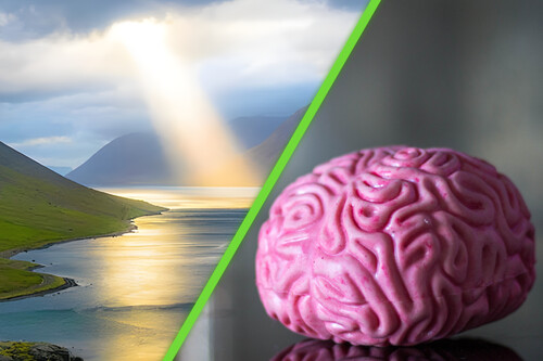 En busca del "botón de Dios": qué le pasa al cerebro cuando rezamos o meditamos, esto dice la neurociencia