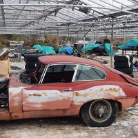Treinta autos Jaguar clásicos fueron encontrados en un invernadero