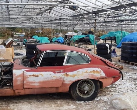 Treinta autos Jaguar clásicos fueron encontrados en un invernadero