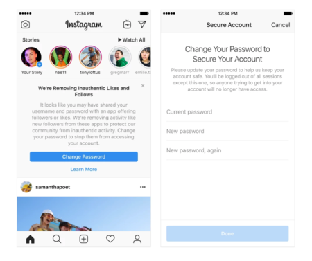 Instagram Purga